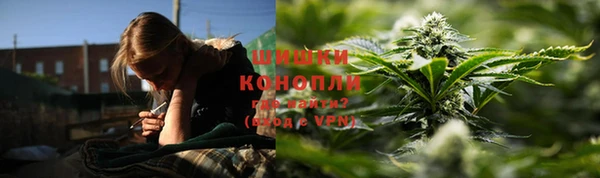 ПСИЛОЦИБИНОВЫЕ ГРИБЫ Бронницы